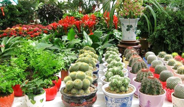 濟(jì)寧市兗州區(qū)興隆農(nóng)業(yè)科技示范有限公司